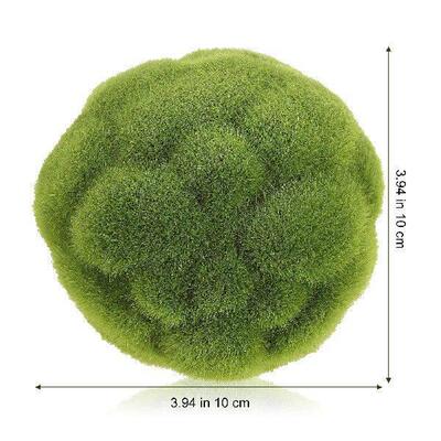 2 Pcs Moss Garden Decoration Leaf Sets Stabilized