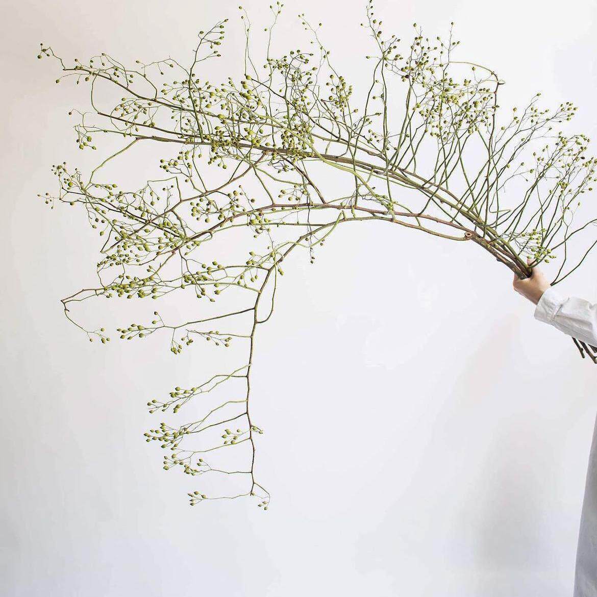 天然干 干燥花花束真花插花山归来树枝客厅桌面装饰摆饰侘寂覆古
