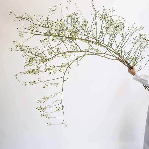 天然干 干燥花花束真花插花山归来树枝客厅桌面装饰摆饰侘寂覆古