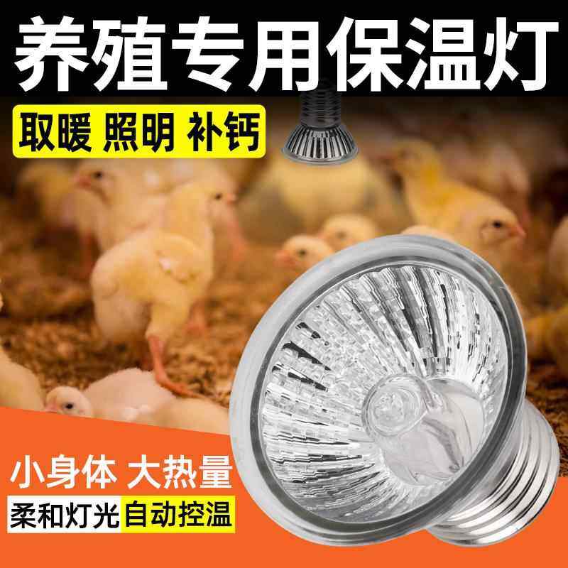 芦丁鸡保温灯小鸡育雏保暖灯养殖专用鹦鹉取暖灯泡乌龟加热太阳灯,畜牧/养殖物资,养殖保温灯,淘宝优惠券,粉丝福利购,淘宝优惠卷