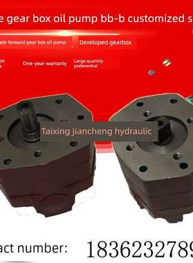 BB-B25A/B16A船用齿轮箱油泵BB-B32A/BB-B20A/BB-B40/B63A杭齿A-1