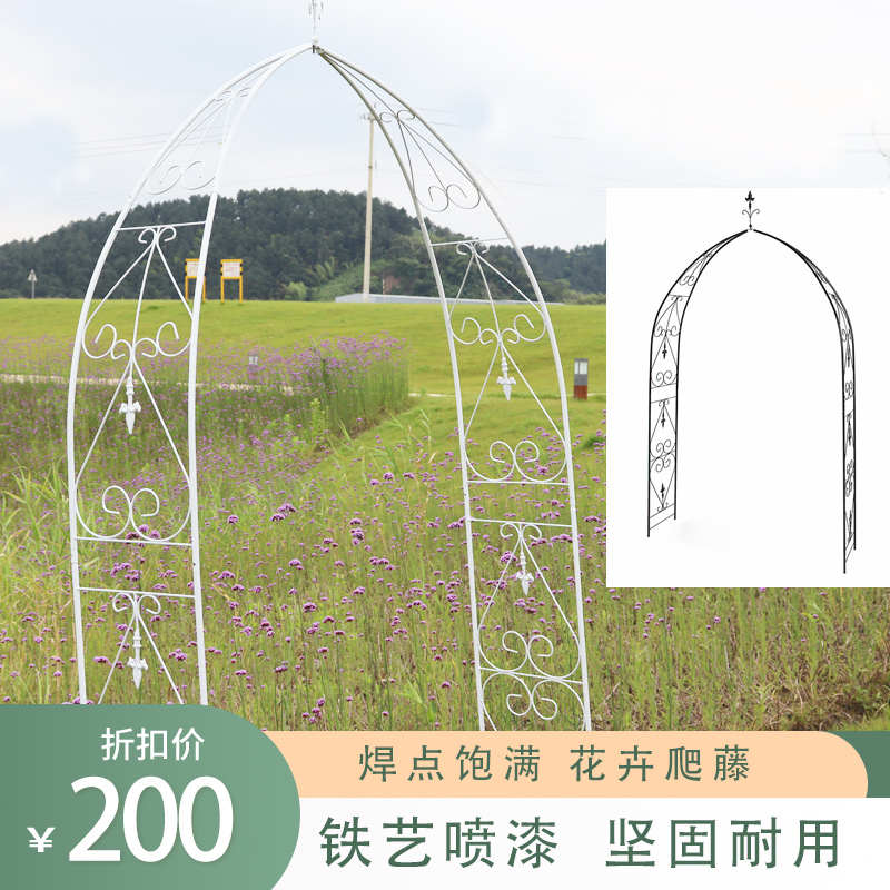 欧式铁艺藤月玫瑰拱门花架凉亭花园室内铁艺爬藤花架金属花卉支架