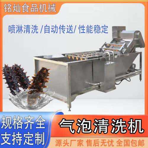 生蚝大型不锈钢高压清洗设备 蔬菜清洗风干线 全自动气泡清洗机
