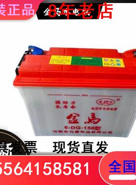 金马水电瓶电动三轮车专用牵引蓄电池6-DG-150型 拉货三轮车