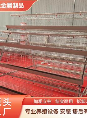 阶梯式四层四门蛋鸡笼白槽可养128只养殖设备多层阶梯式蛋鸡笼
