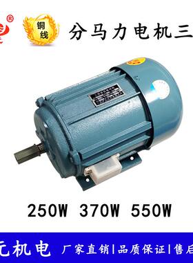 小型三相电机250W370W550W750W分马力异步电动机纯铜380V轴16