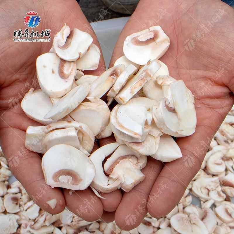 香菇滑子菇猴头菇白灵菇草鸡腿菇割 TKG腾切昇香菇切片菇机,搬运/仓储/物流设备,其他起重搬运设备,淘宝优惠券,粉丝福利购,淘宝优惠卷