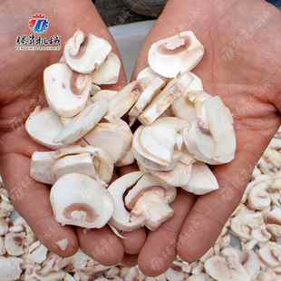 香菇滑子菇猴头菇白灵菇草鸡腿菇割 TKG腾切昇香菇切片菇机