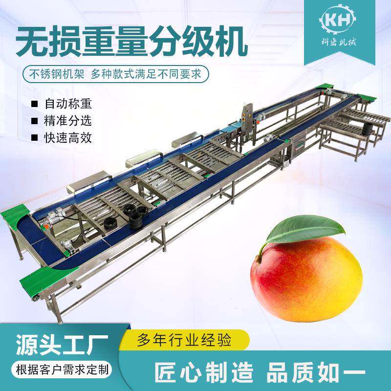 机械无损式重量分选机苹果芒凯特芒智能分选水果重量分拣