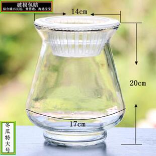 水培植物玻璃生态鱼缸绿萝花盆办公桌面加厚大号鱼缸透明器皿花瓶