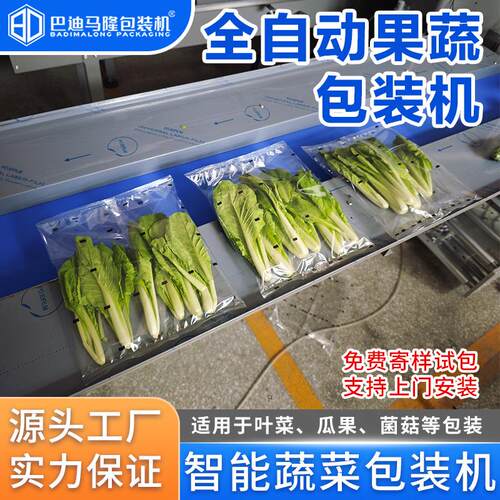 生鲜瓜果蔬菜枕式包装机 多功能菜心白菜油麦菜全自动套袋打包机