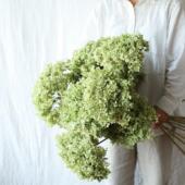 久伴天然绣球干 饰摆饰侘寂覆 干燥花花束插花真花树枝客厅桌面装