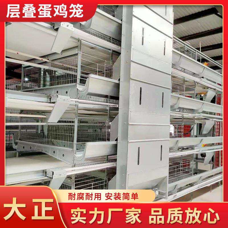 层叠蛋鸡笼蛋鸡养殖设备 全自层叠式肉鸡笼 养殖场层叠式鸡笼子