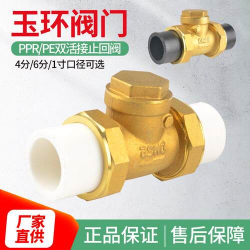 4/6分热熔止回阀黄铜卧立式逆止20/25PPR双活接自来水管表单向阀