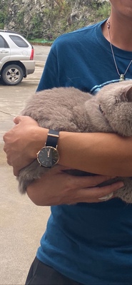 dw手表怎么鉴别真假全是干货不看后悔了?