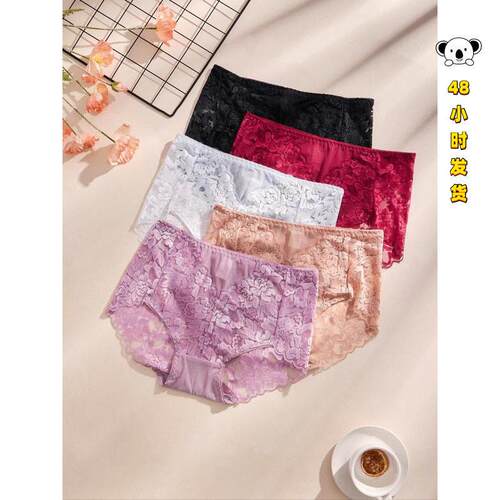 Z 12196 Plus Size Lace Mid Rise Briefs 大码蕾丝中腰三角内裤