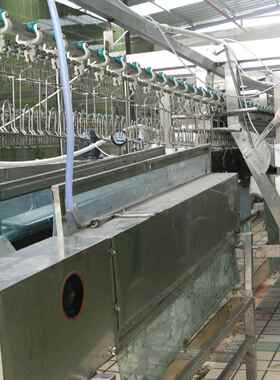 厂家供应宰鸭设备立式家禽脱毛机鸡鸭自动打毛去毛机屠宰机械