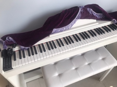 海邦电钢琴怎么样（前车之鉴）有必要告诉大家真相