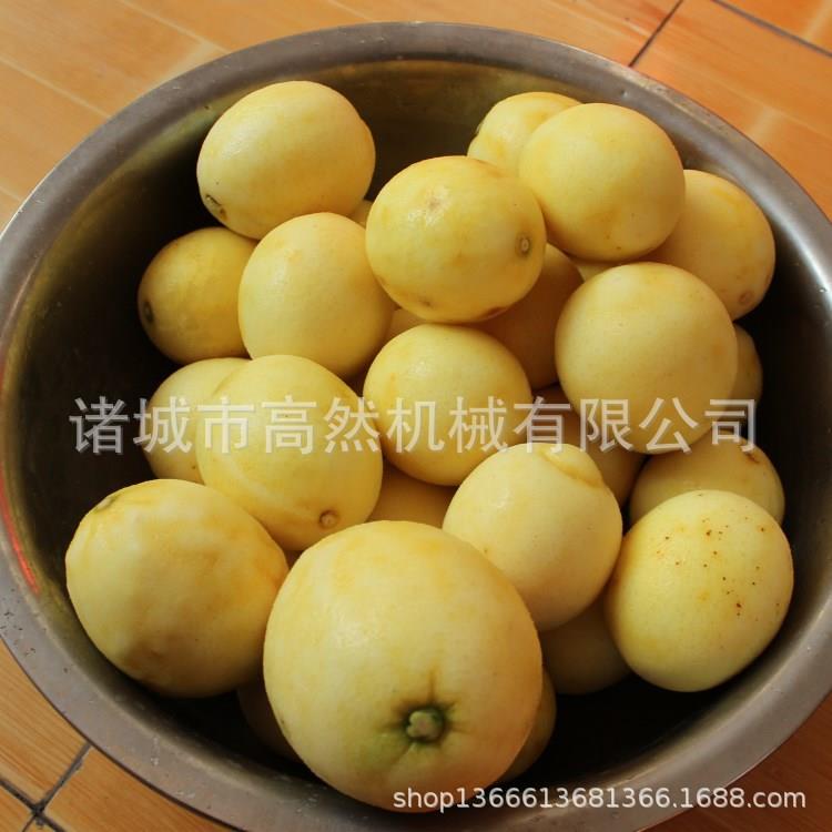 诸城高然土豆去皮机商用去红薯皮机器10kg/次小型家用土豆设备