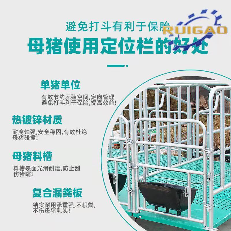 猪用限位栏母猪定位栏养殖设备加厚落地养殖场栏位山东生产厂家