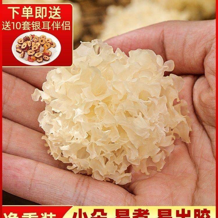 正宗古田银耳自然晒干自家种无水洗易出胶白木耳新鲜无硫100g全年,粮油调味/速食/干货/烘焙,银耳/冻干银耳及银耳制品,淘宝优惠券,粉丝福利购,淘宝优惠卷
