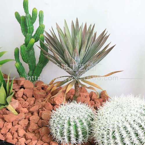 仙人掌沙生植物仿真绿植造景装饰大型落地植物景观摆件盆栽组合