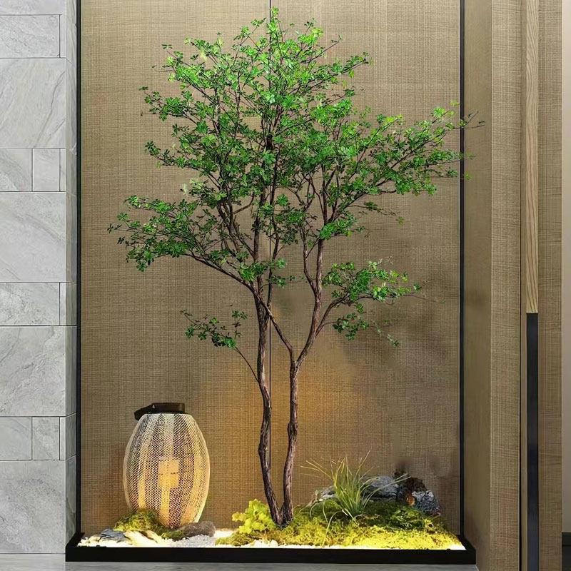 彷真树吊钟树马醉木植物景观造景室内客厅阳台商场饭厅高档大型树