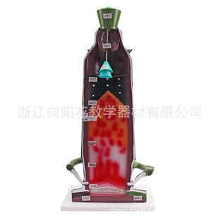 厂家直销32001炼铁高炉模型生物教学模型