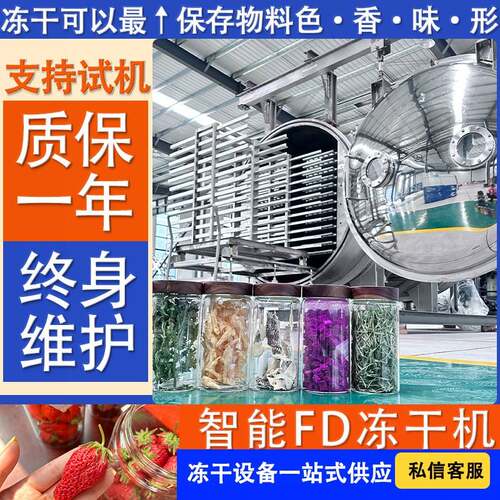 厂家生产销售冻干机 果蔬专用脱水冻干设备 低温冷库干燥型冻干机