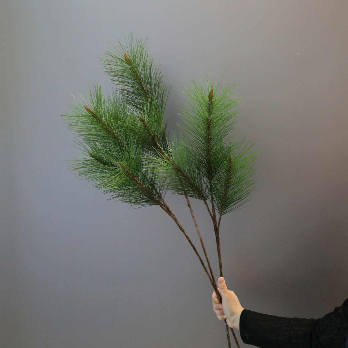仿真松树枝带果假松枝景观松针黑松柏枝叶迎客松圣诞树大马尾松,家居饰品,DIY仿真材料,淘宝优惠券,粉丝福利购,淘宝优惠卷
