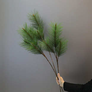 仿真松树枝带果假松枝景观松针黑松柏枝叶迎客松圣诞树大马尾松