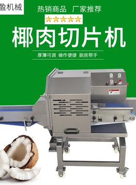 海南椰子肉切片机TJ-304D新鲜肉苁蓉切片设备厚薄可调切香蕉片机