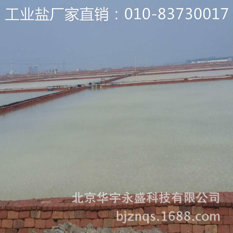 粒软水软水剂树脂等离子交换盐大颗盐再生 批发厂家