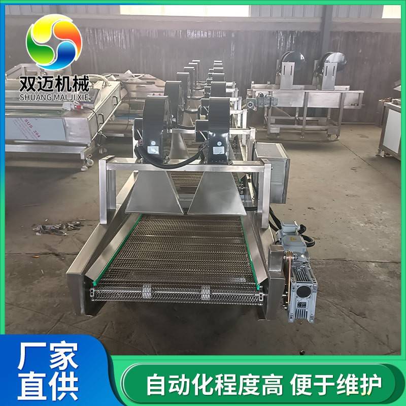 气泡式药材清洗机预制菜包装袋翻转式风干线商用果蔬振动沥水机
