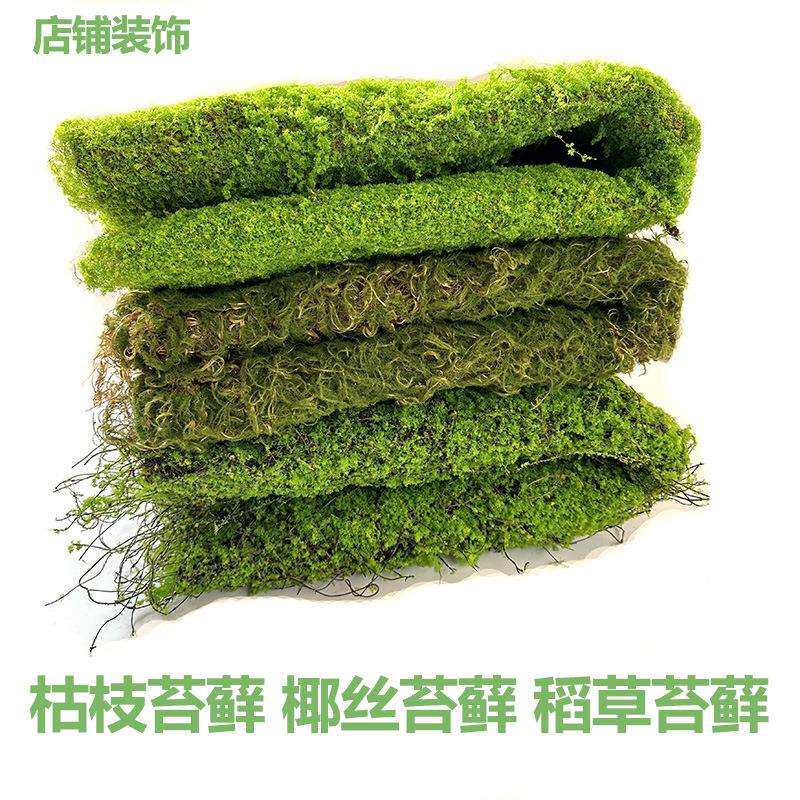 椰丝苔藓枯枝麻绳稻草PE曲丝装饰背景永生花盆景藤蔓满天星