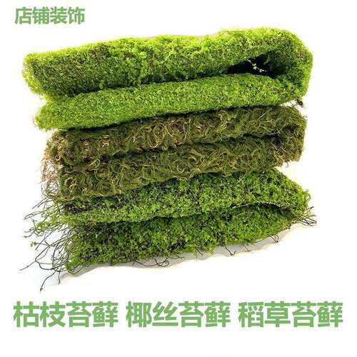 椰丝苔藓枯枝麻绳稻草PE曲丝装饰背景永生花盆景藤蔓满天星