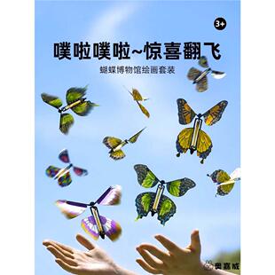 会飞的蝴蝶博物馆惊喜盒子户外弹跳diy手工解压亲子互动儿童玩具6