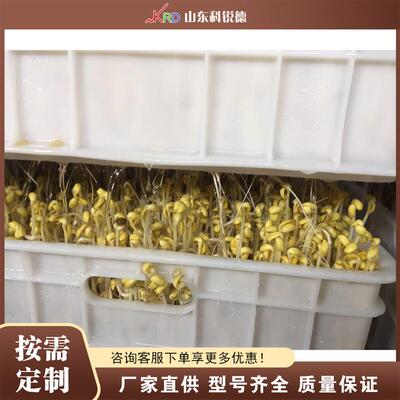 农贸市场芽苗菜生产机商用豆芽加工设备大容量多层量产豆芽机