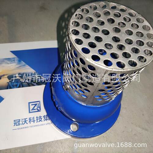 带过滤网底阀 美标日标德标英标过滤法兰止回阀底阀 法兰过滤底阀