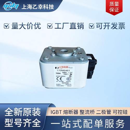 巴斯曼熔断器 170M6461 170M6462 170M6463 170M6464 170M6465