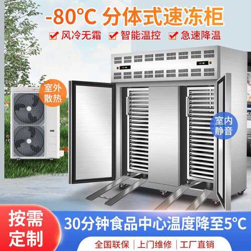 速冻柜商用外置机组室外散热急冻速冻机包子速冻冷柜低温插盘冰柜