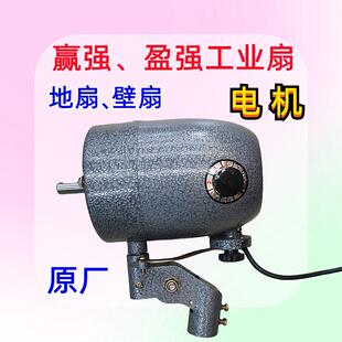 赢强 盈强电风扇工业落地扇壁扇商用纯铜电机马达机头650mm750mm
