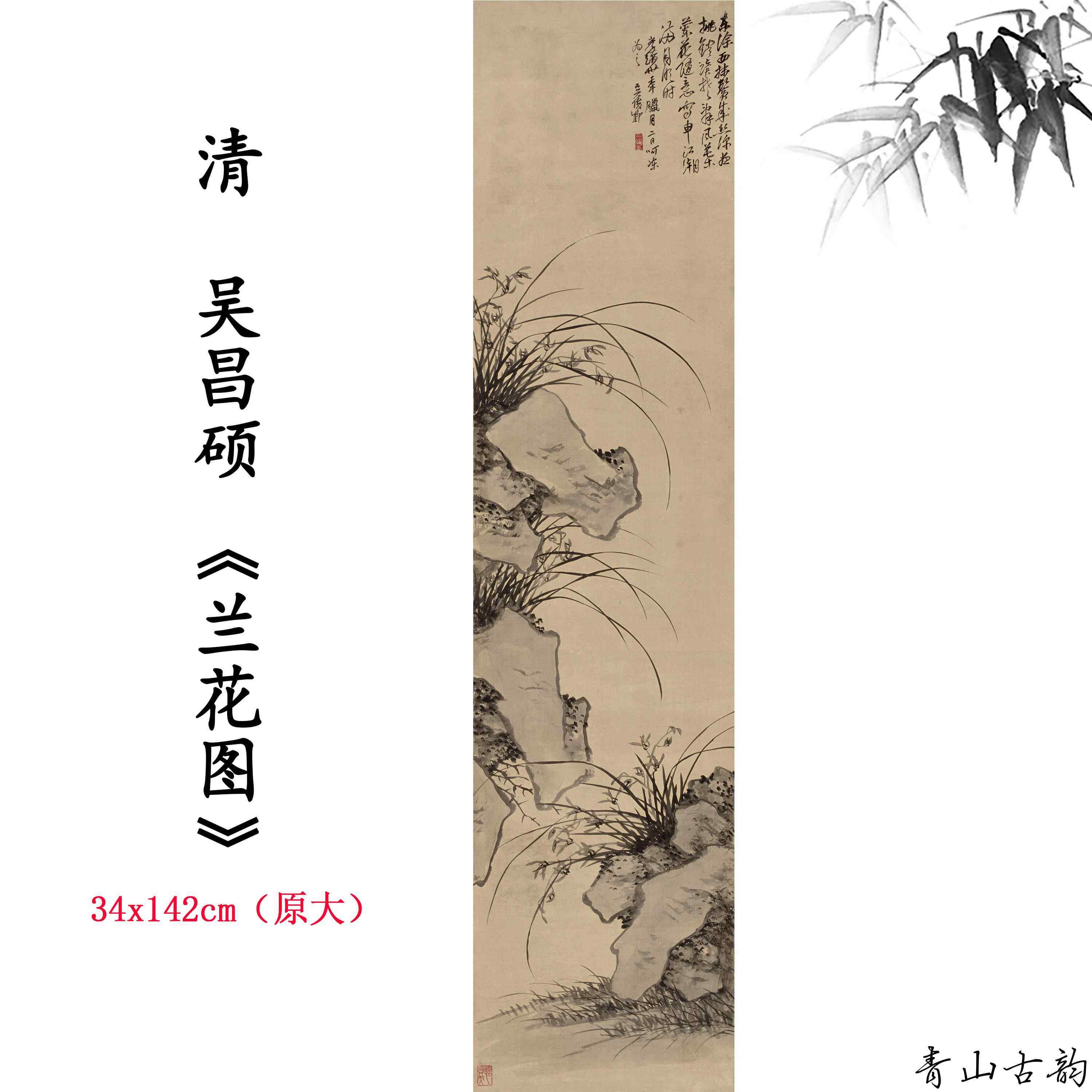 新品11清吴昌硕兰花