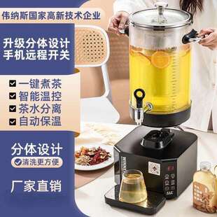 伟纳斯分体式智能养生泡茶桶透明花茶煮茶桶