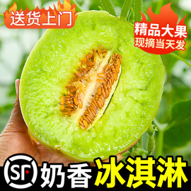 冰淇淋玉菇甜瓜新鲜9斤水果当季整箱小香瓜蜜瓜，羊角哈5密瓜