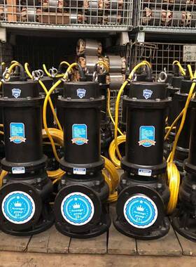 ZGTPYBY潜水泵排Q污泵耦合式装置150W15-5室-1.5kw工程SKJ地下潜