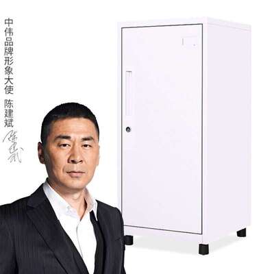 中伟文件柜矮柜铁皮档案柜白色单门柜