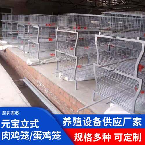 肉鸡元宝笼镀锌丝全自动传送喂料清粪捡蛋畜牧养殖设备养鸡笼厂家
