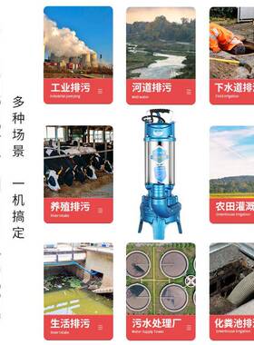 机污水泵抽吸粪泥浆2DEX20v大流量化粪池养殖场粪不锈钢泥沙用家