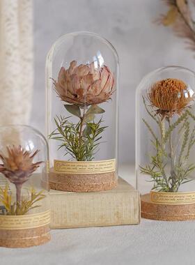 复古植物标本摆件向日葵玻璃罩微景观创意生日礼物书架装饰送老师